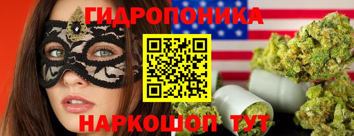 Кудрово  Каннабис сатива  Бошки марихуана гибрид  МАРИХУАНА LSD WEED  Вход с VPN 