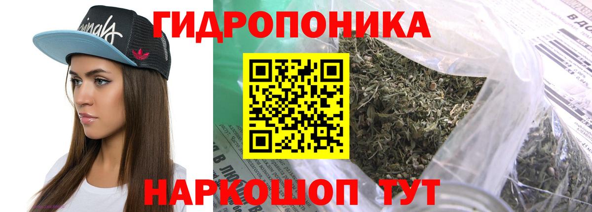 Канабис индика Кудрово